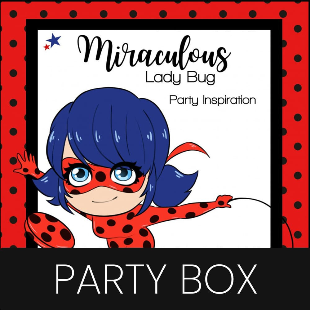 MIRACULOUS LADY BUG Party Box