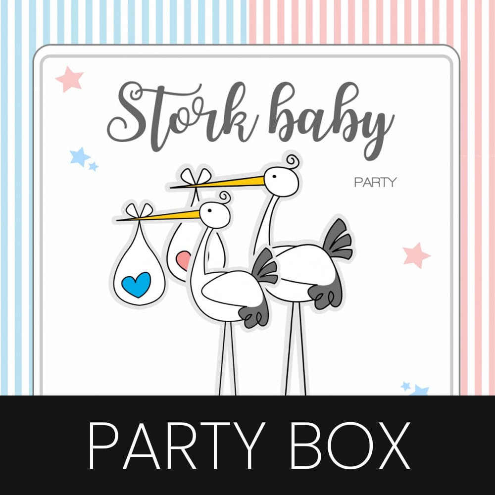 Cicogna Baby Shower festa personalizzata