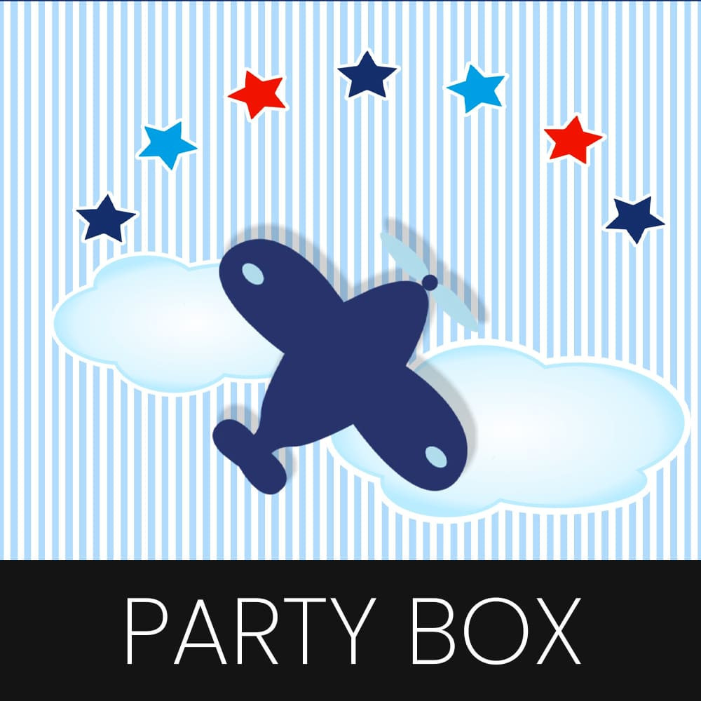 Airplane customized party