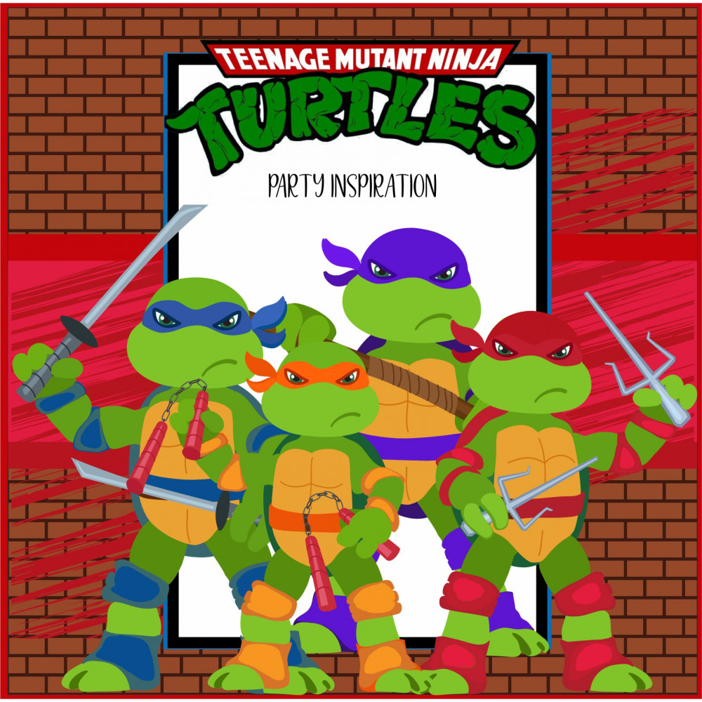 Ninja Turtles Party kit