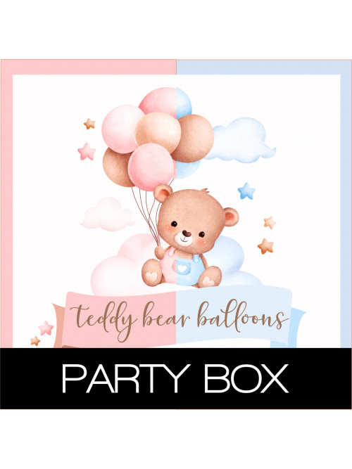 Teddy Bear party Customized