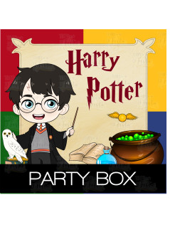 Harry Potter festa personalizzata