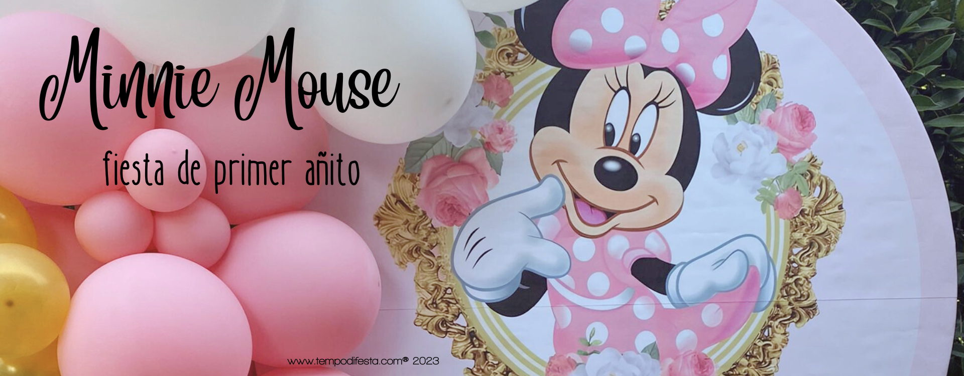Primer cumpleaños Minnie Mouse 07/08/2023