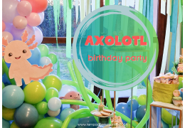 Axolotl, birthday party 2024/04/22